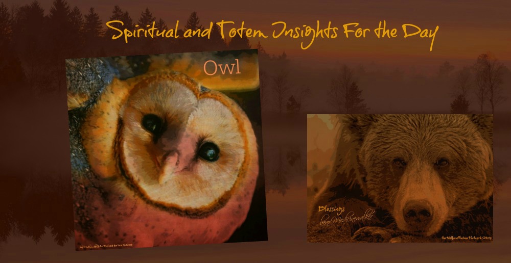 Spiritual And Totem Insight For Today The Owl Bear Medicinewalker