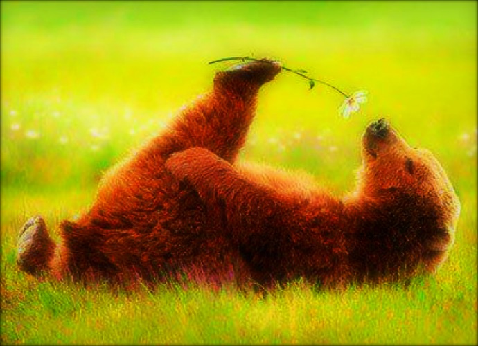 bear holding a flower