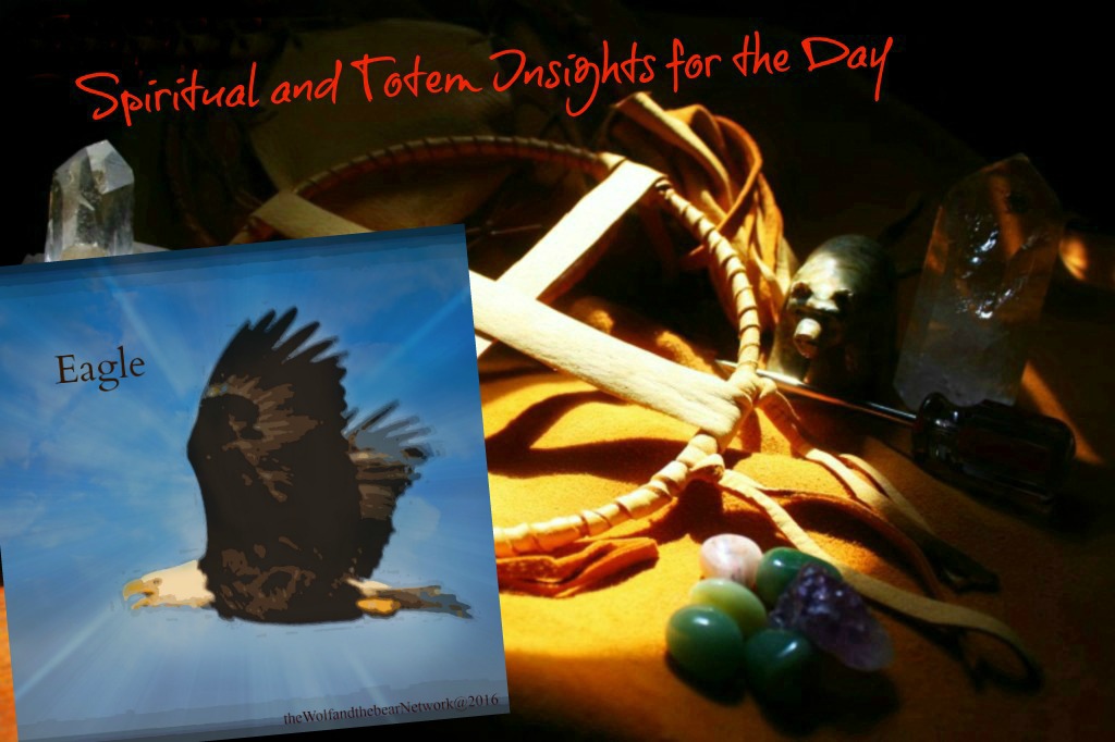 Spiritual and Totem Insights for the Day the Eagle | bear Medicinewalker